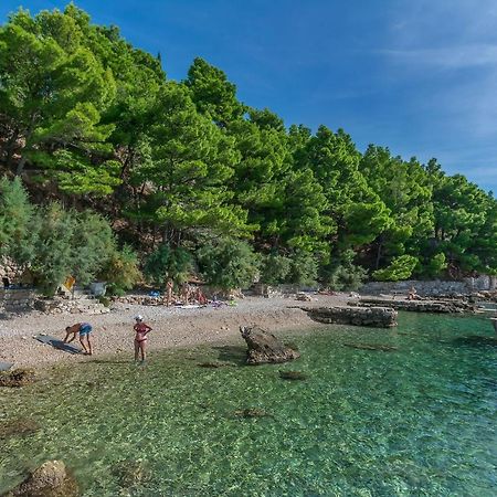 Apartments Bluesun Omiš Dış mekan fotoğraf
